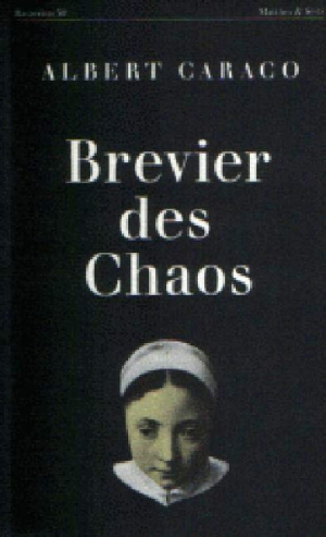 Brevier des Chaos