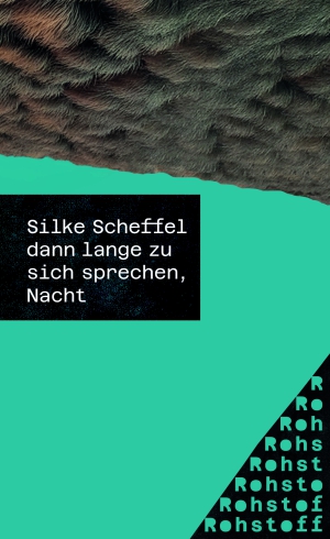 dann lange zu sich sprechen, Nacht