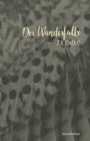 Der Wanderfalke