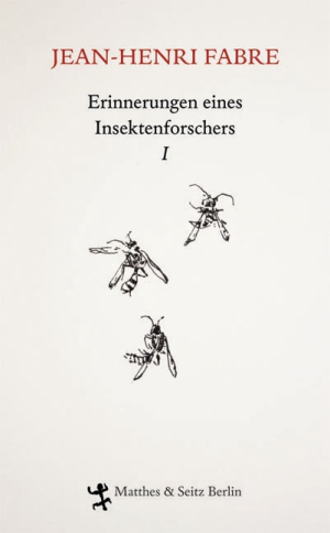 Erinnerungen eines Insektenforschers I