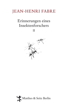 Erinnerungen eines Insektenforschers II