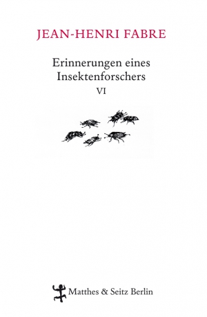 Erinnerungen eines Insektenforschers VI Erinnerungen eines Insektenforschers VI