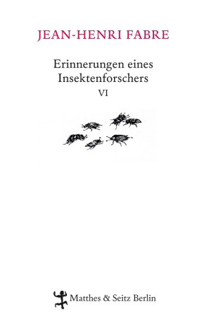 Erinnerungen eines Insektenforschers VI Erinnerungen eines Insektenforschers VI
