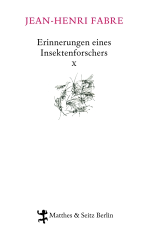 Erinnerungen eines Insektenforschers X
