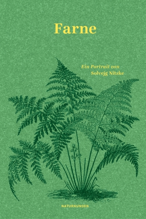 Ferns. A Portrait