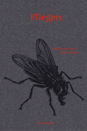 Flies. A Portrait