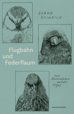 Flugbahn und Federflaum