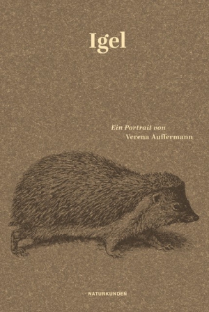 Hedgehogs. A Portrait