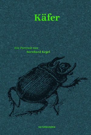 Beetles. A Portrait