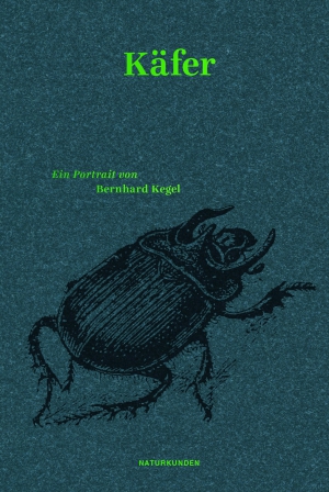 Beetles