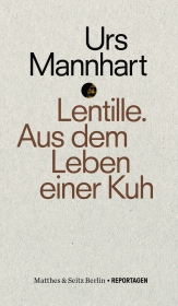 Lentille