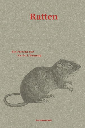 Rats. A Portrait
