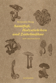 Samtfuß, Holzstielchen und Zottelmähne Samtfuß, Holzstielchen und Zottelmähne