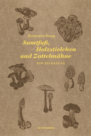 Samtfuß, Holzstielchen und Zottelmähne