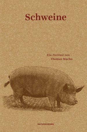 Pigs. A Portrait