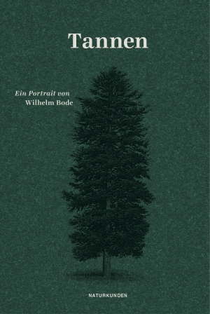 Fir Trees. A Portrait