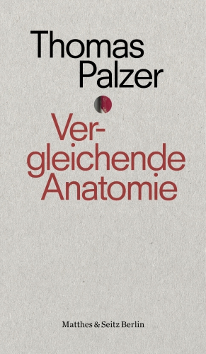 Vergleichende Anatomie