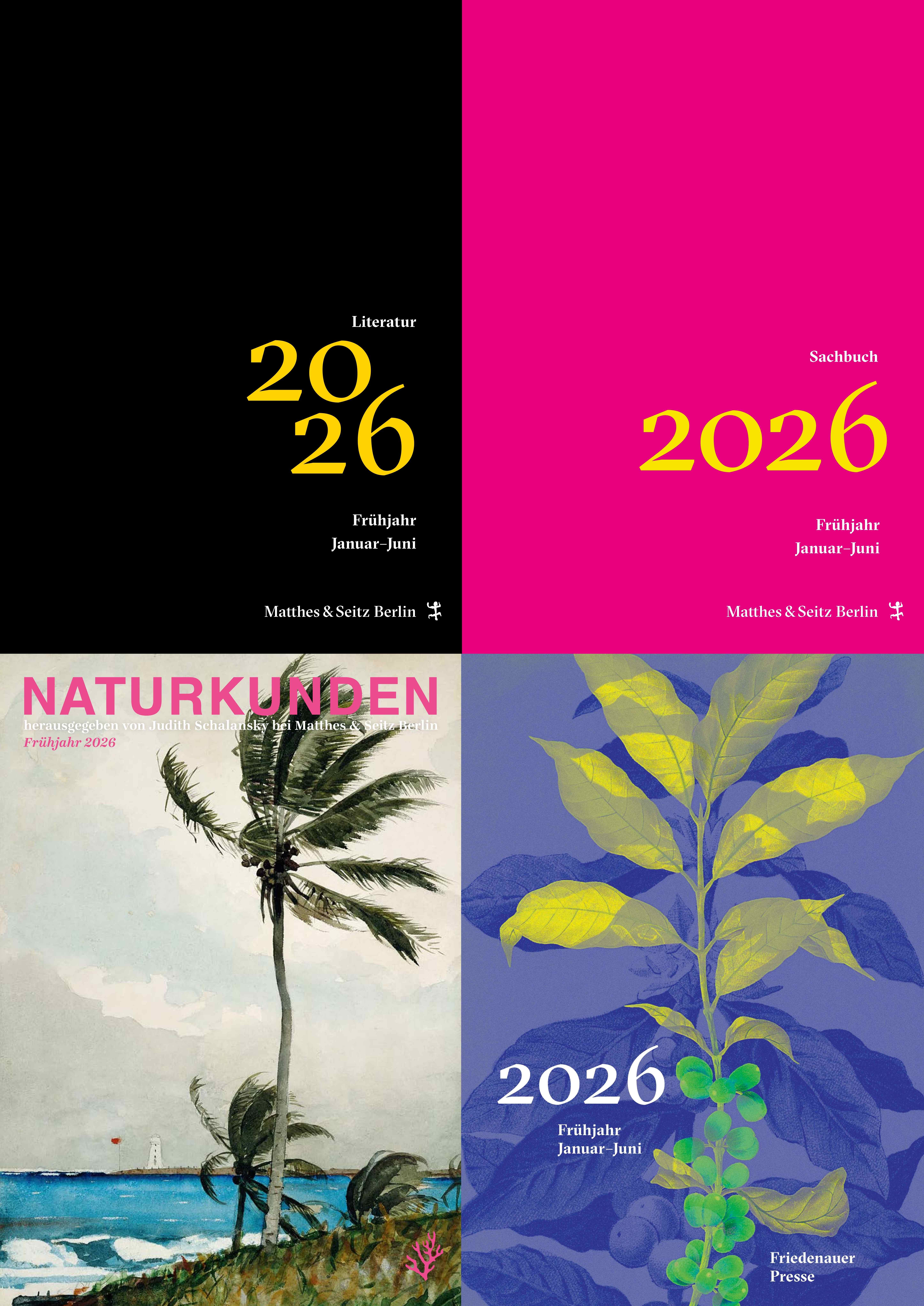 Frühjahrsvorschauen 2026 Frühjahrsvorschauen 2026